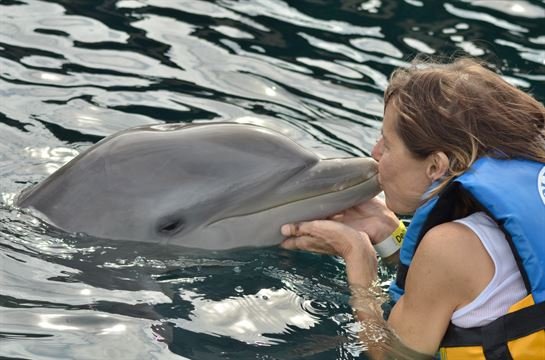 Sandi Mobley Huckabay - Photo 17