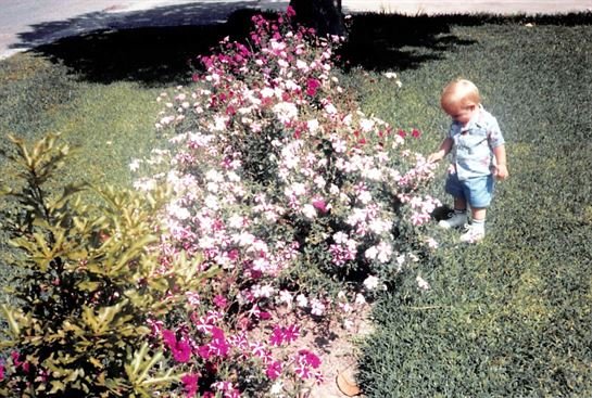 Travis David Reed - Photo 27