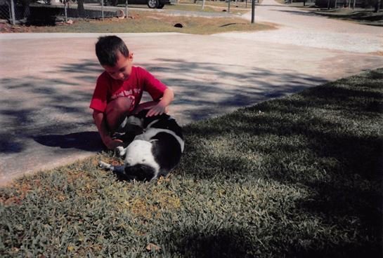 Shirley Roccaforte - Photo 45