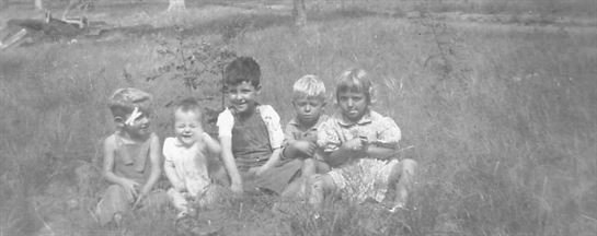 Ray S. Williamson - Photo 5