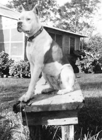 Douglas Peveto - Photo 39