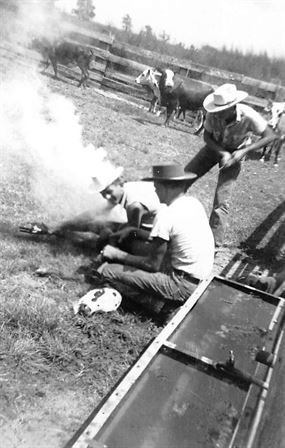 Douglas Peveto - Photo 49