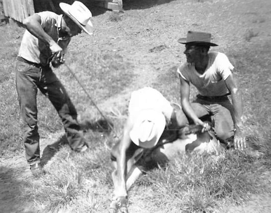 Douglas Peveto - Photo 61