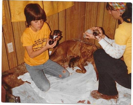 Brian Lynn Dressler - Photo 14